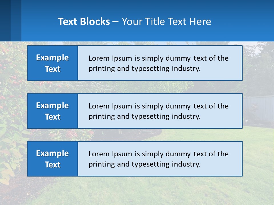 A Yard With A Fence And Trees In The Background PowerPoint Template