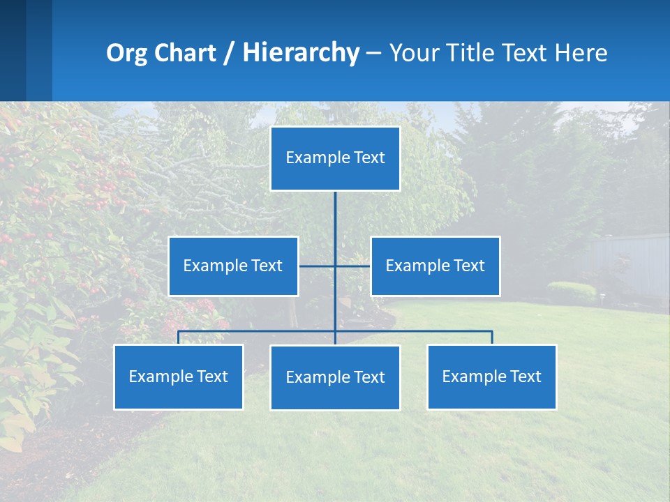 A Yard With A Fence And Trees In The Background PowerPoint Template