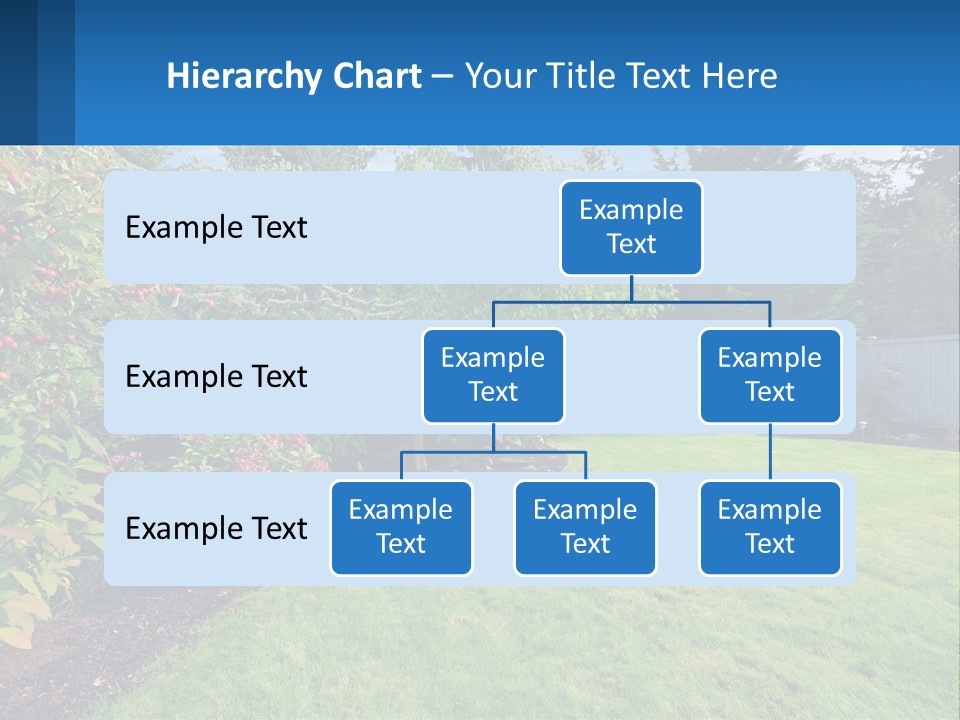A Yard With A Fence And Trees In The Background PowerPoint Template