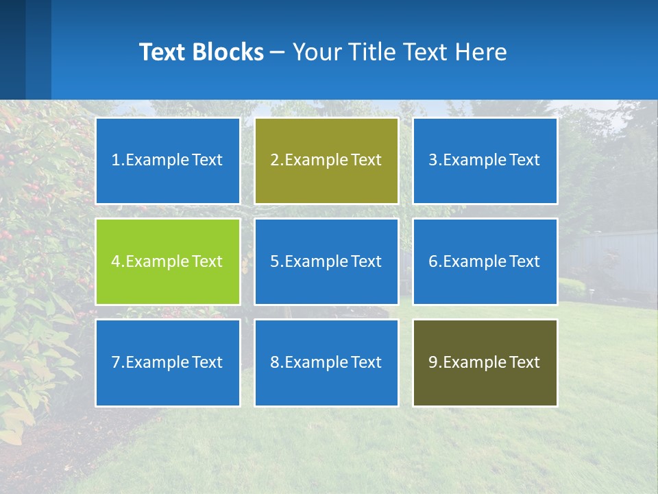 A Yard With A Fence And Trees In The Background PowerPoint Template