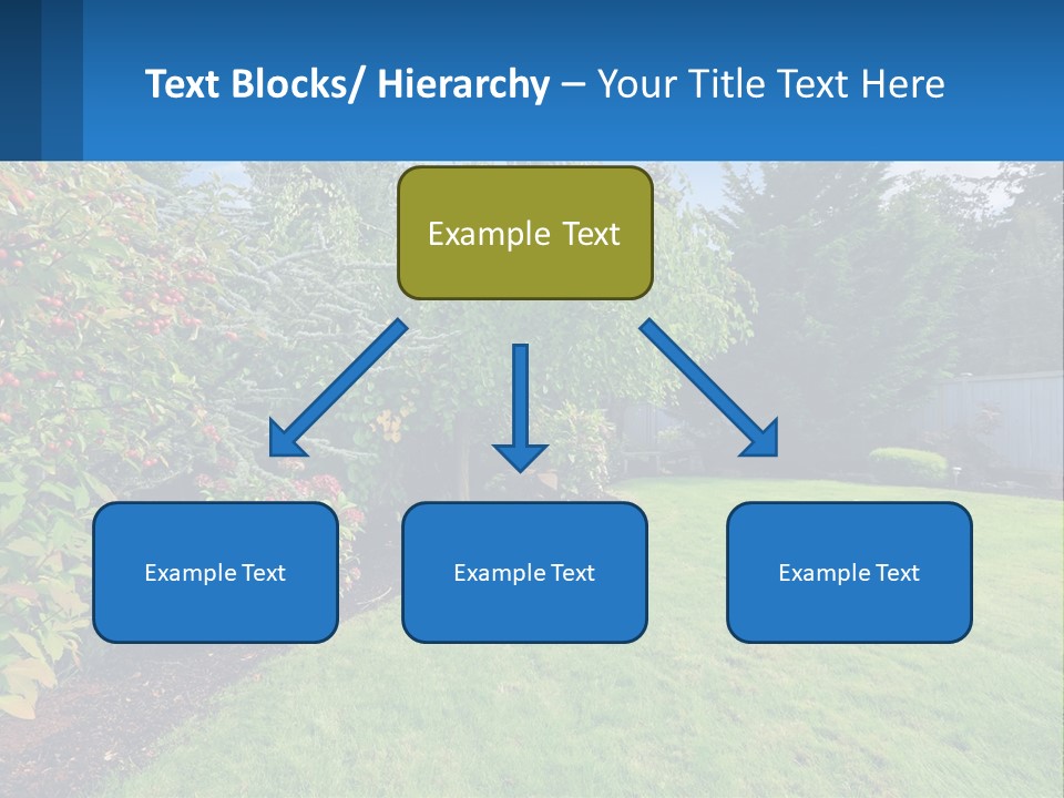 A Yard With A Fence And Trees In The Background PowerPoint Template
