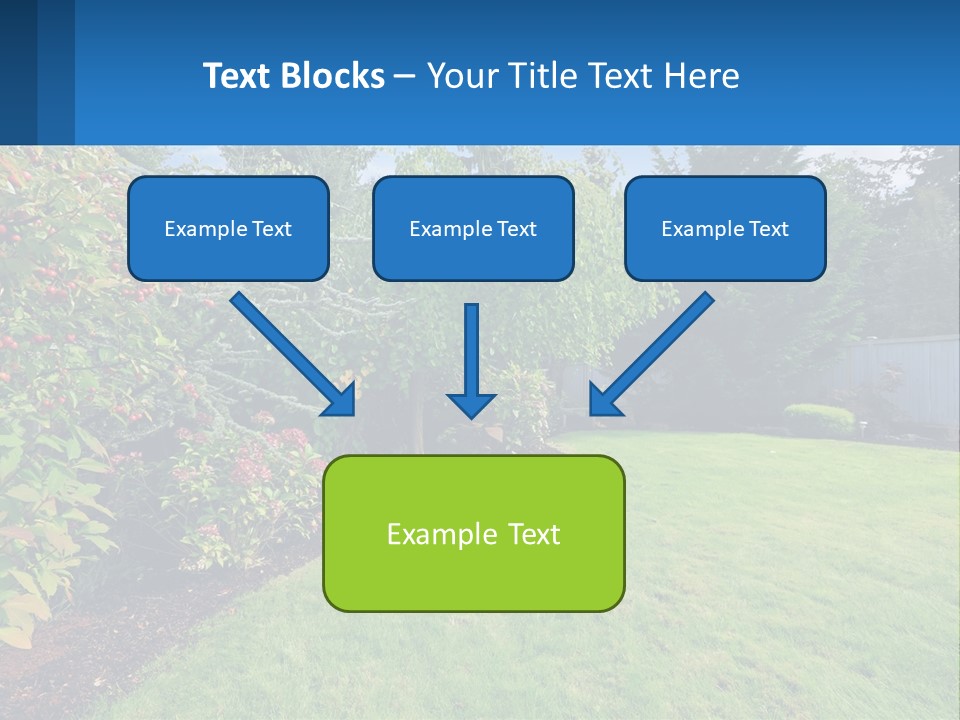 A Yard With A Fence And Trees In The Background PowerPoint Template