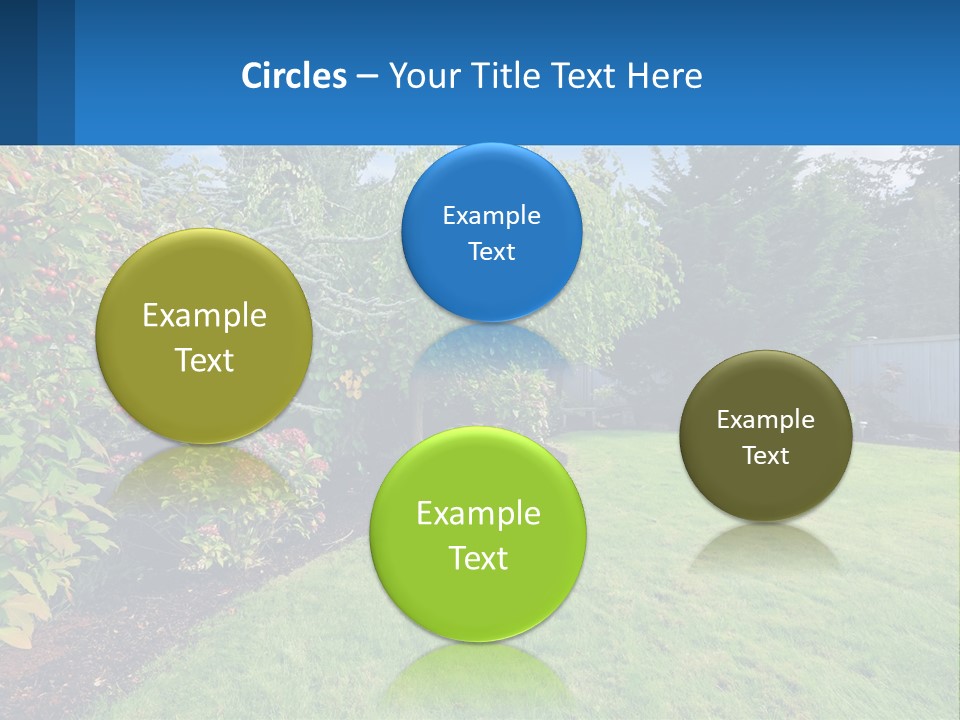 A Yard With A Fence And Trees In The Background PowerPoint Template