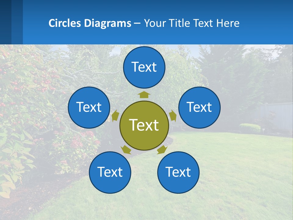 A Yard With A Fence And Trees In The Background PowerPoint Template