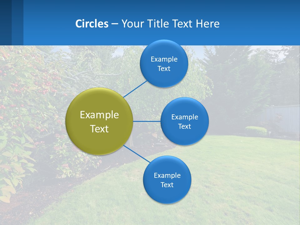 A Yard With A Fence And Trees In The Background PowerPoint Template