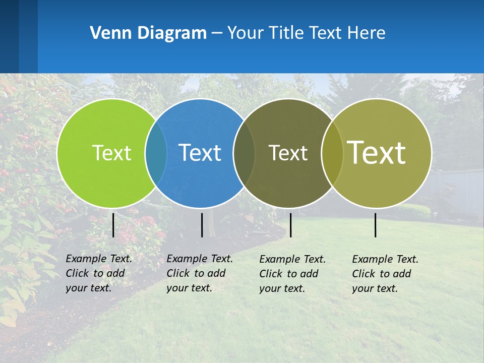 A Yard With A Fence And Trees In The Background PowerPoint Template
