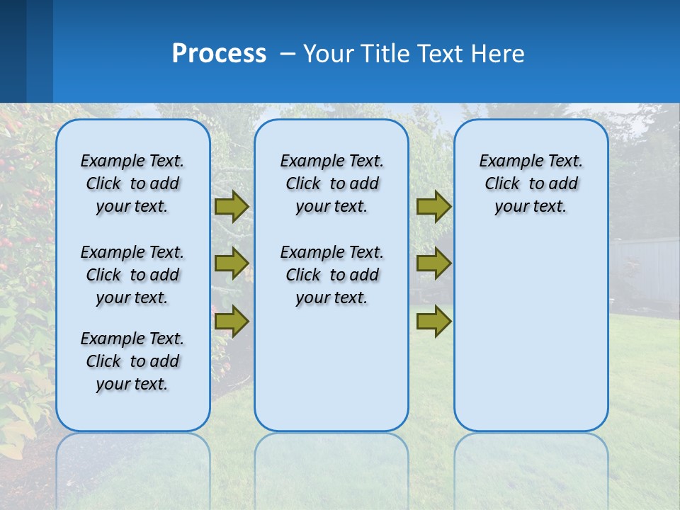 A Yard With A Fence And Trees In The Background PowerPoint Template