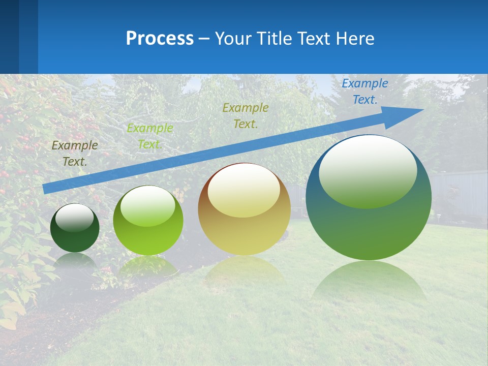 A Yard With A Fence And Trees In The Background PowerPoint Template