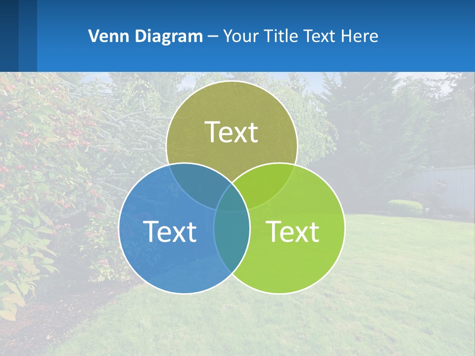 A Yard With A Fence And Trees In The Background PowerPoint Template