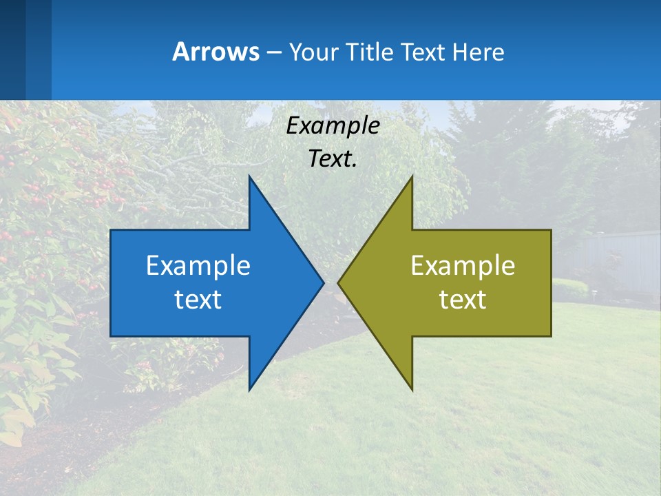 A Yard With A Fence And Trees In The Background PowerPoint Template