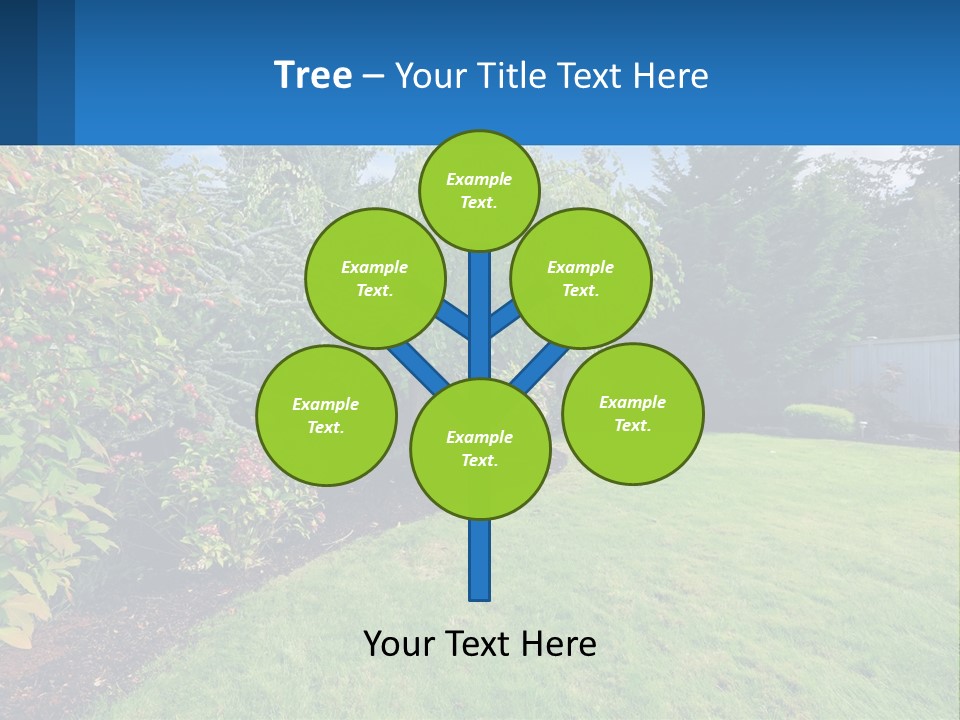 A Yard With A Fence And Trees In The Background PowerPoint Template