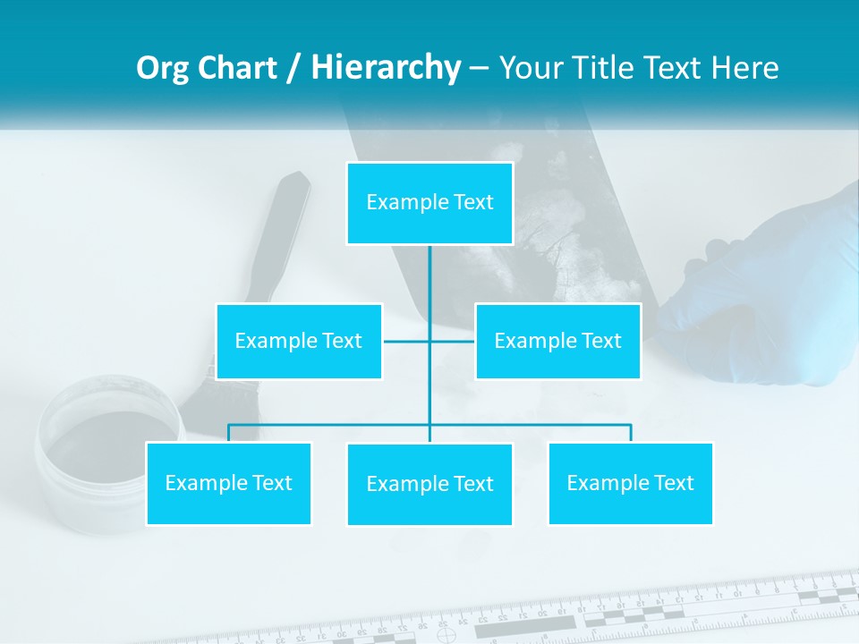 A Person In Blue Gloves Is Holding A Piece Of Paper PowerPoint Template