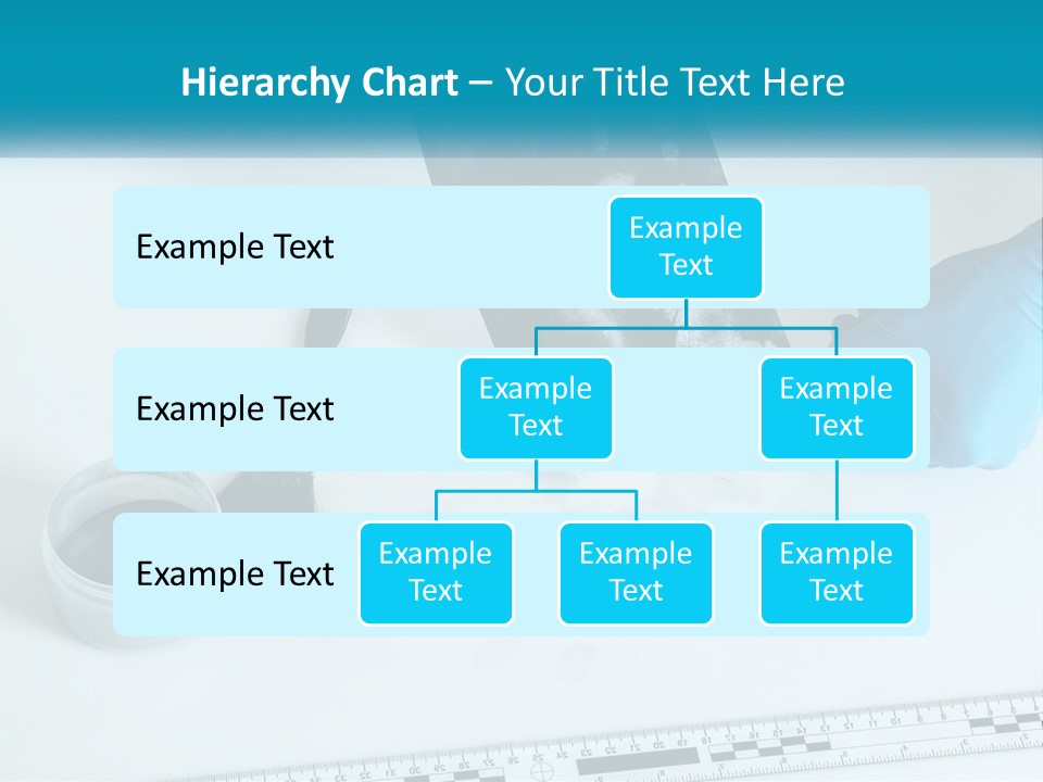 A Person In Blue Gloves Is Holding A Piece Of Paper PowerPoint Template