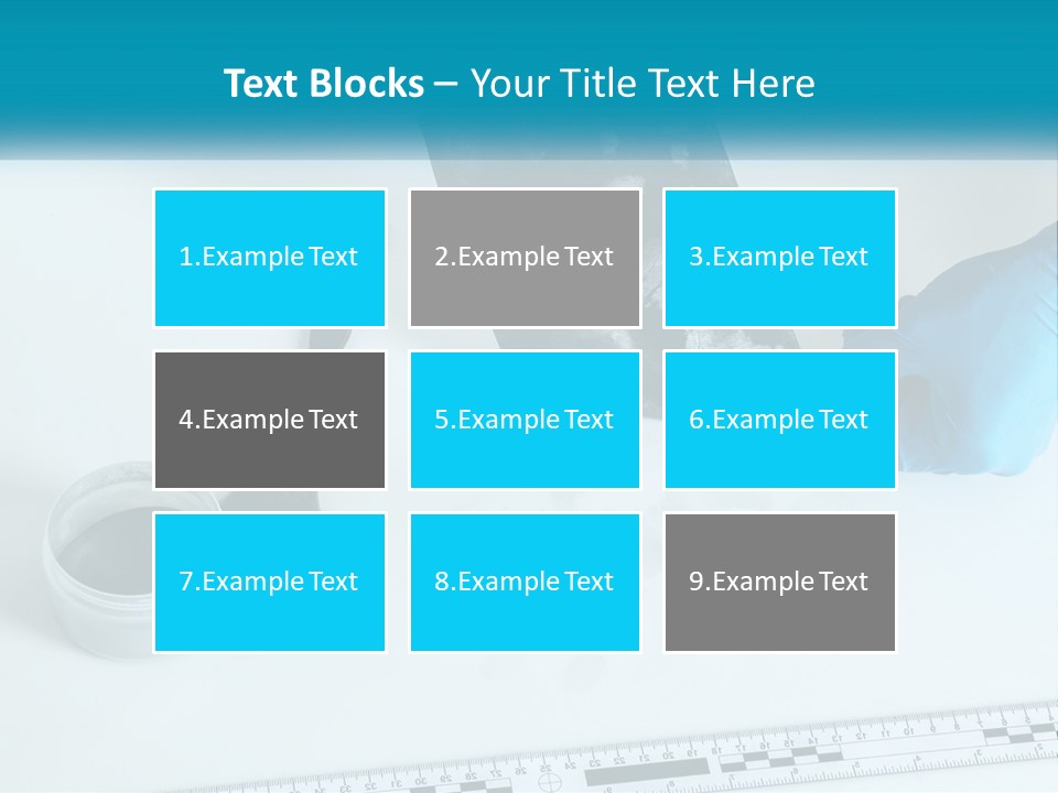 A Person In Blue Gloves Is Holding A Piece Of Paper PowerPoint Template