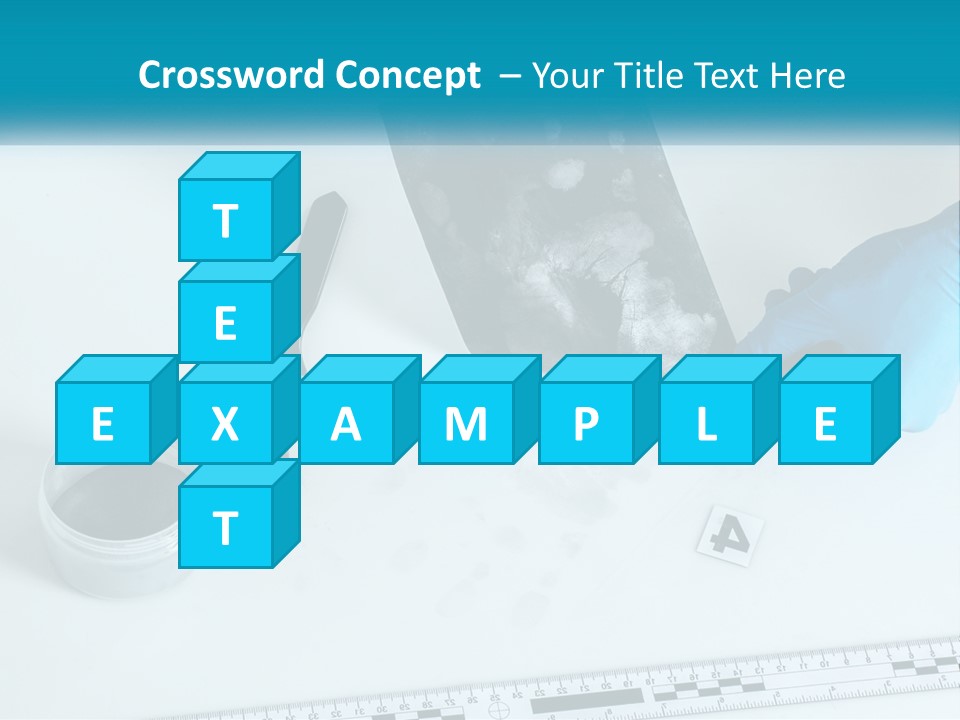 A Person In Blue Gloves Is Holding A Piece Of Paper PowerPoint Template