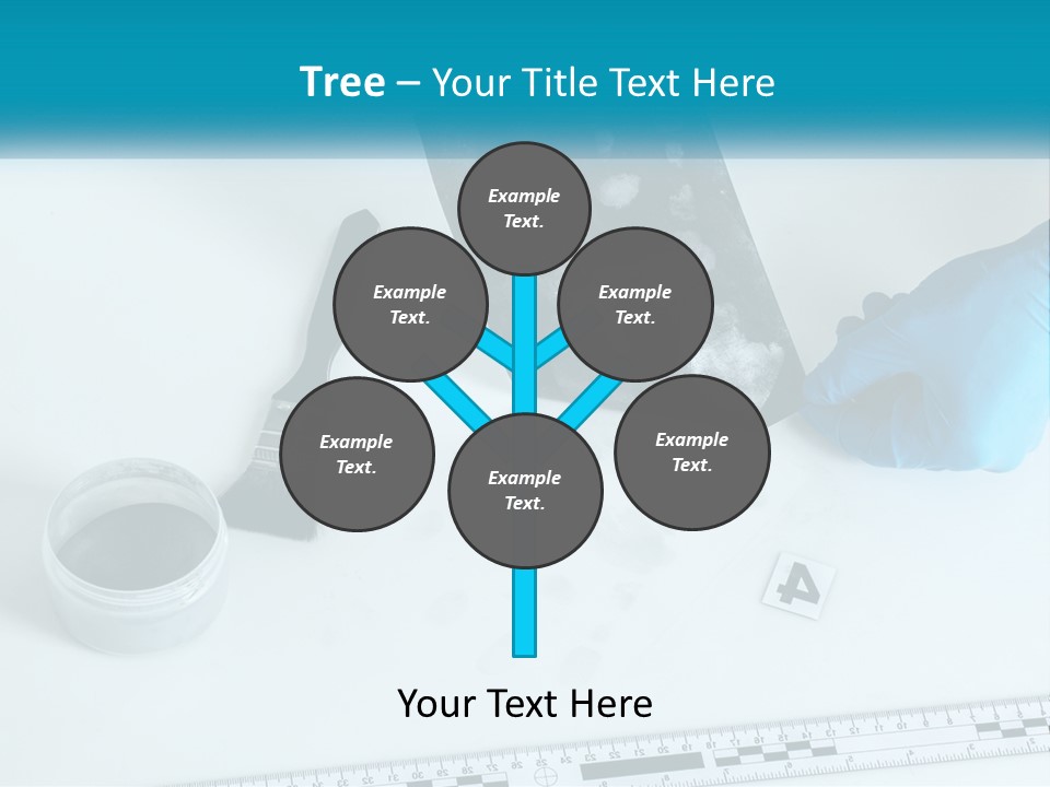 A Person In Blue Gloves Is Holding A Piece Of Paper PowerPoint Template