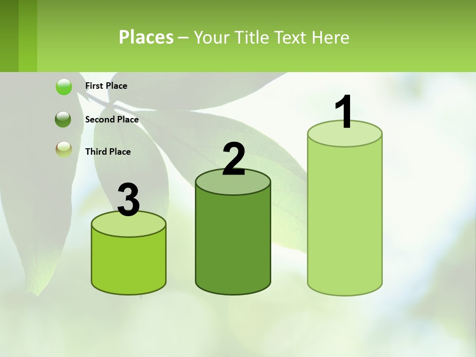 A Green Leaf On A Tree With The Sky In The Background PowerPoint Template