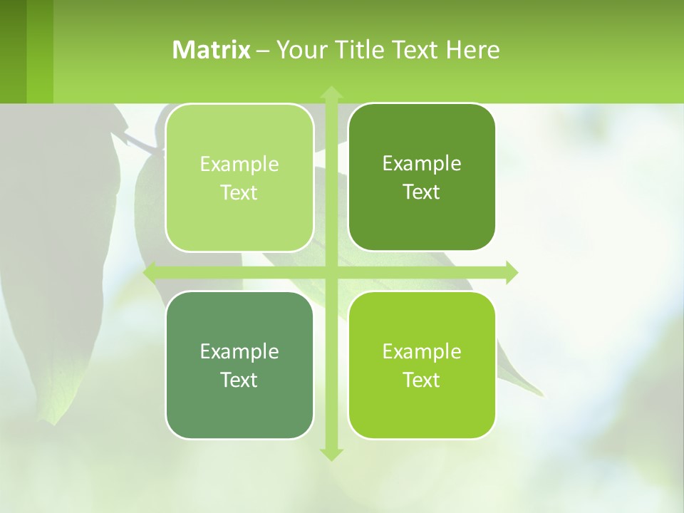 A Green Leaf On A Tree With The Sky In The Background PowerPoint Template