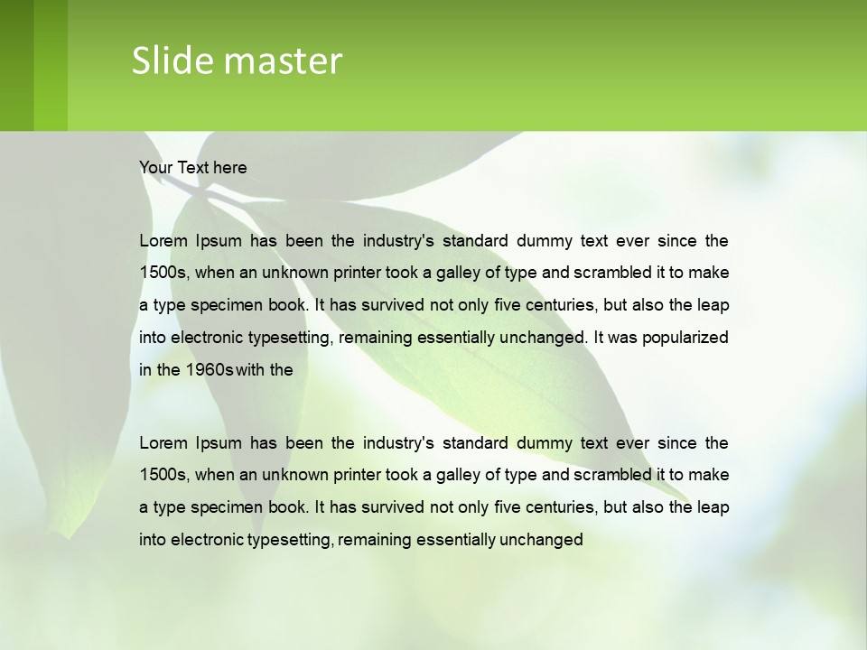 A Green Leaf On A Tree With The Sky In The Background PowerPoint Template