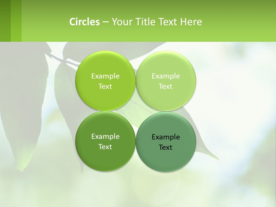 A Green Leaf On A Tree With The Sky In The Background PowerPoint Template