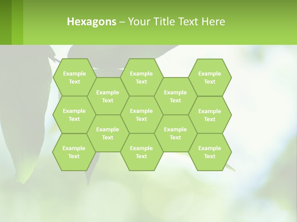 A Green Leaf On A Tree With The Sky In The Background PowerPoint Template