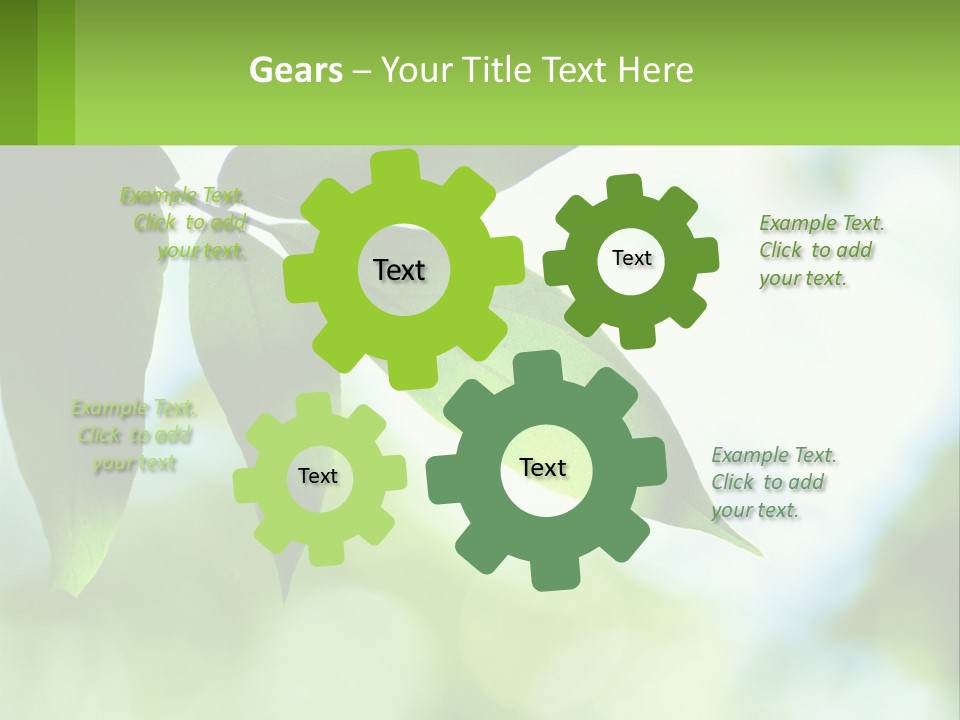 A Green Leaf On A Tree With The Sky In The Background PowerPoint Template