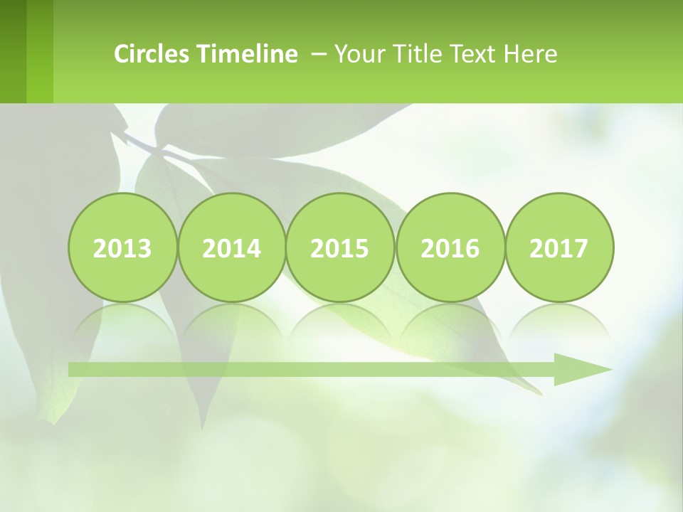 A Green Leaf On A Tree With The Sky In The Background PowerPoint Template