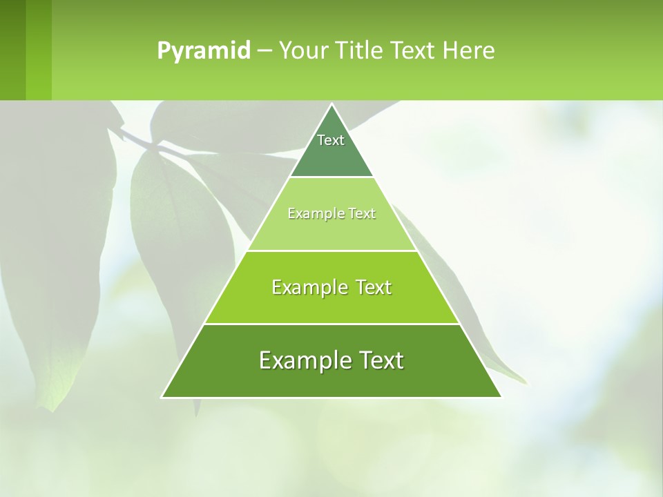 A Green Leaf On A Tree With The Sky In The Background PowerPoint Template