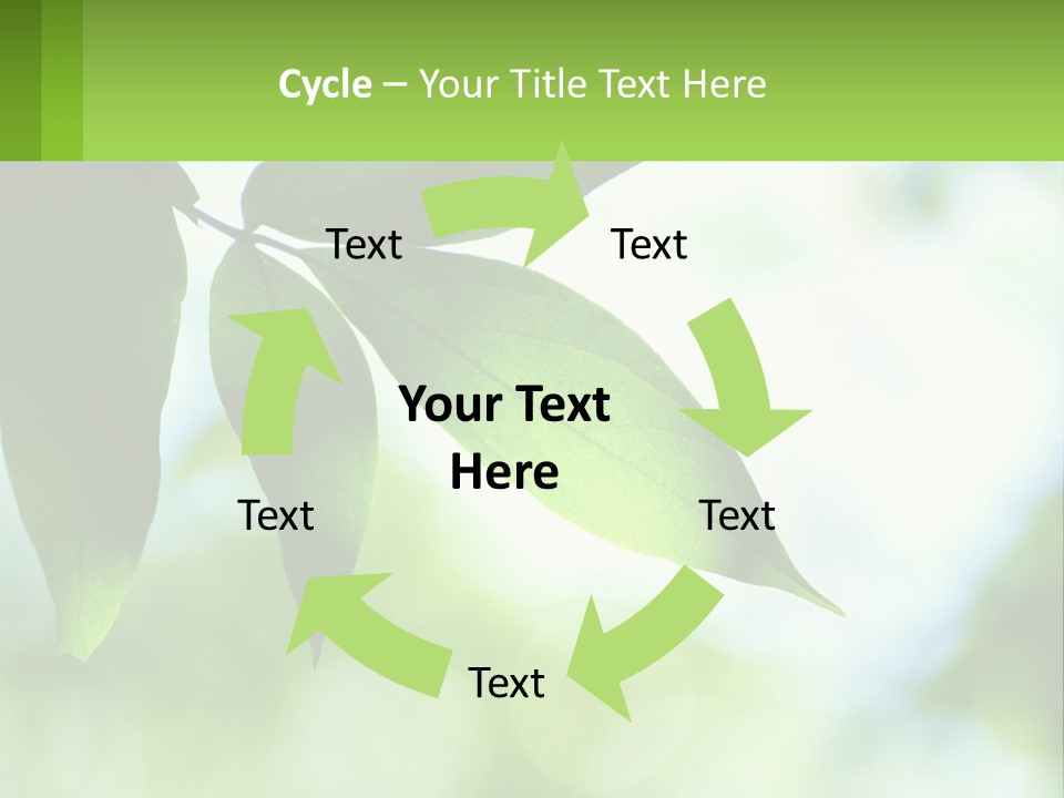 A Green Leaf On A Tree With The Sky In The Background PowerPoint Template