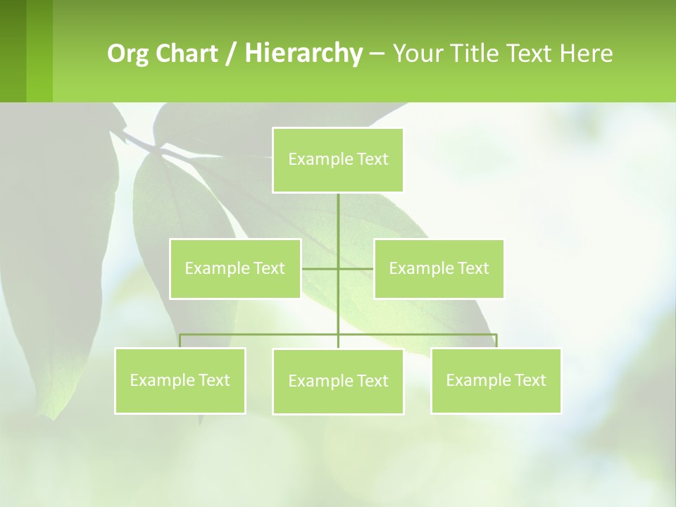 A Green Leaf On A Tree With The Sky In The Background PowerPoint Template