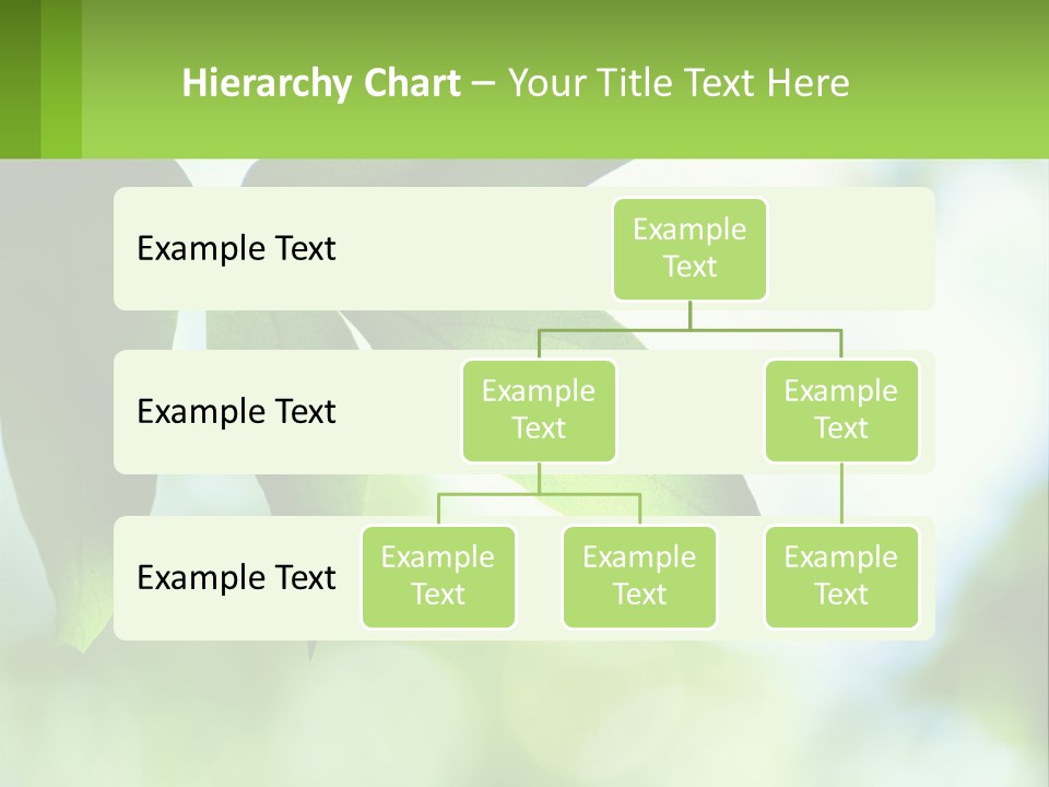 A Green Leaf On A Tree With The Sky In The Background PowerPoint Template
