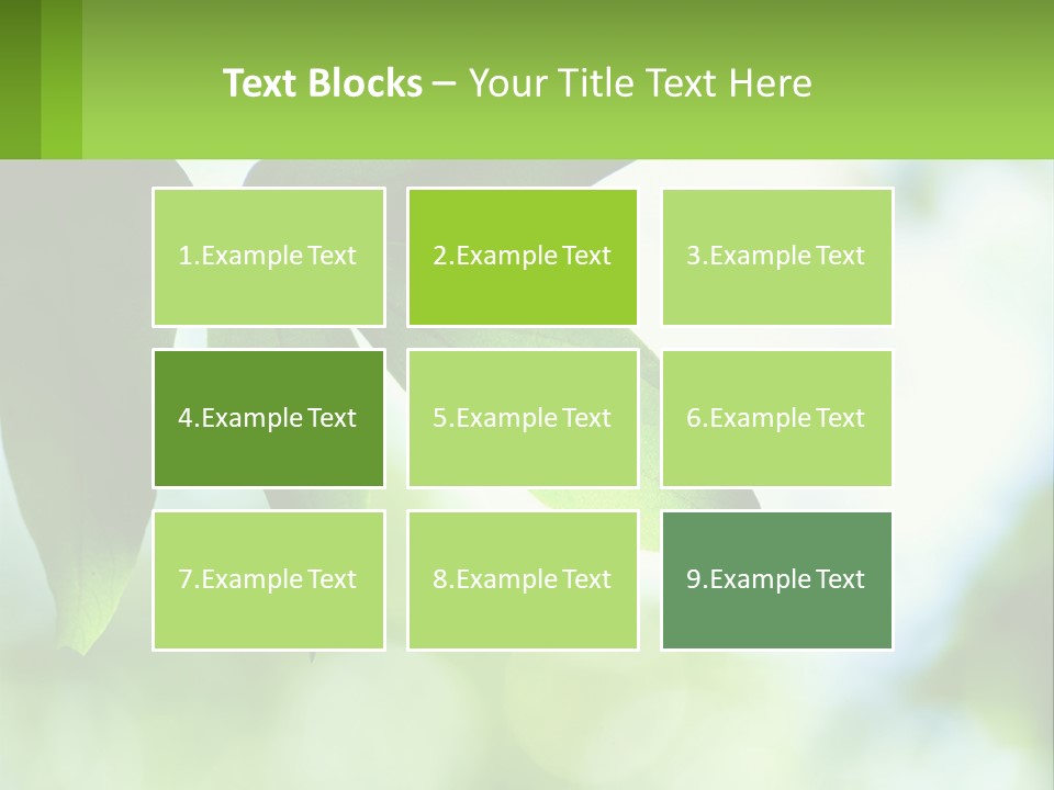 A Green Leaf On A Tree With The Sky In The Background PowerPoint Template