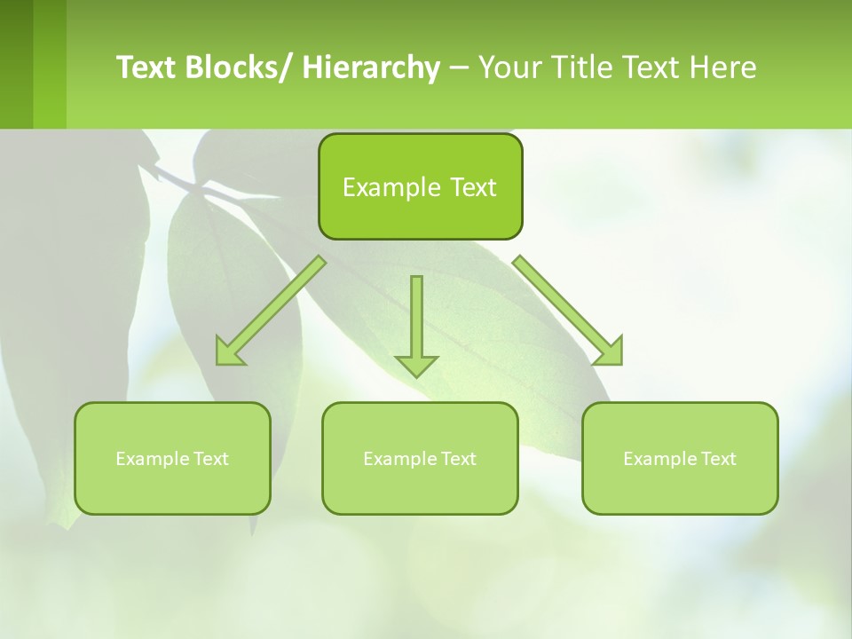 A Green Leaf On A Tree With The Sky In The Background PowerPoint Template