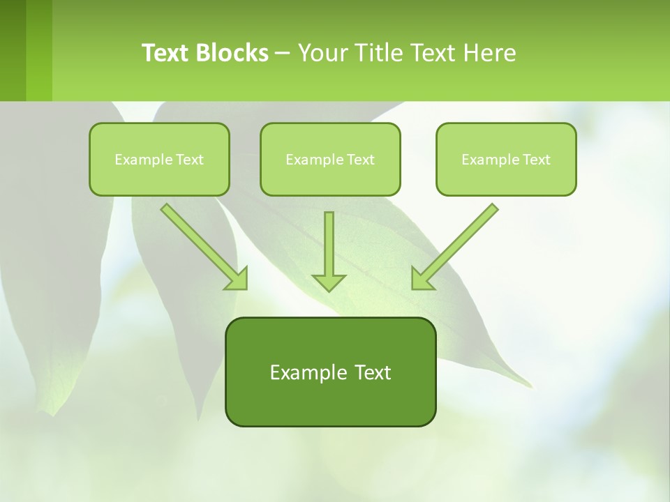 A Green Leaf On A Tree With The Sky In The Background PowerPoint Template