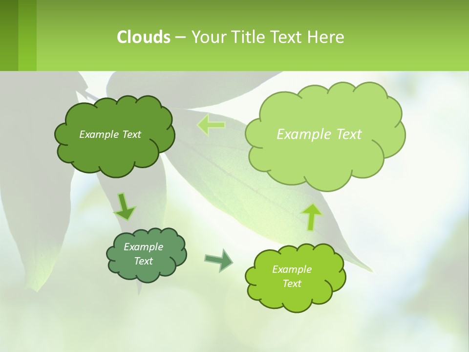 A Green Leaf On A Tree With The Sky In The Background PowerPoint Template