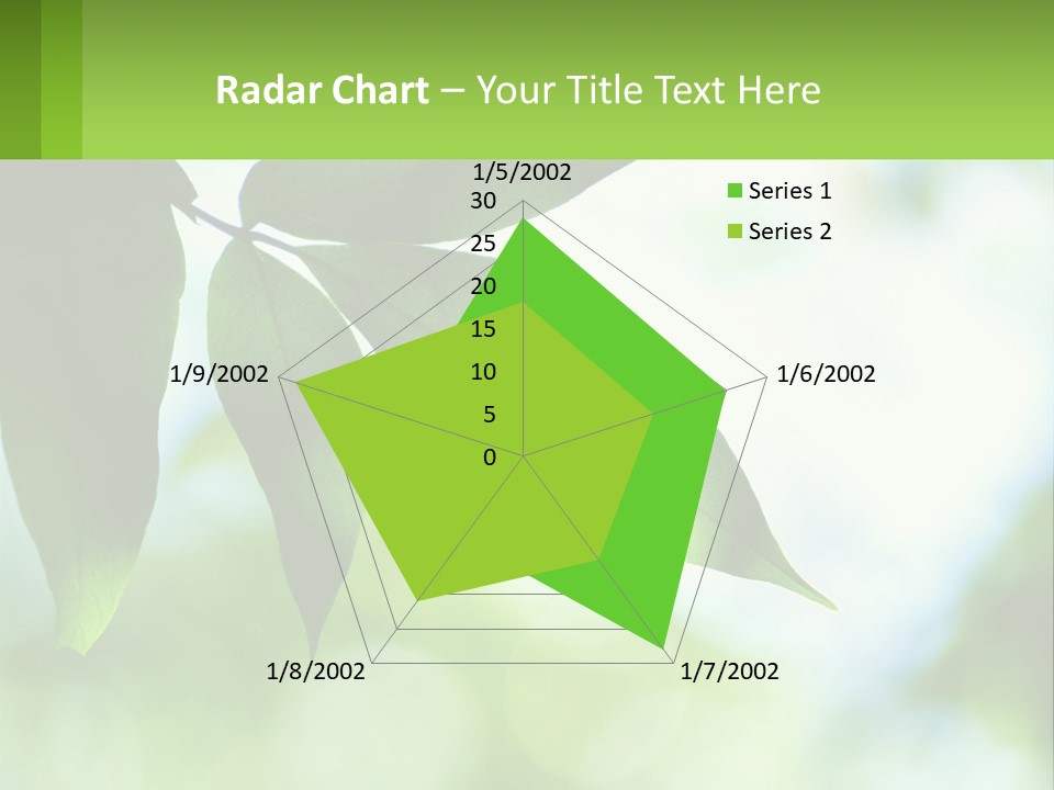 A Green Leaf On A Tree With The Sky In The Background PowerPoint Template