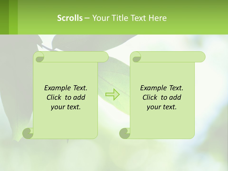 A Green Leaf On A Tree With The Sky In The Background PowerPoint Template