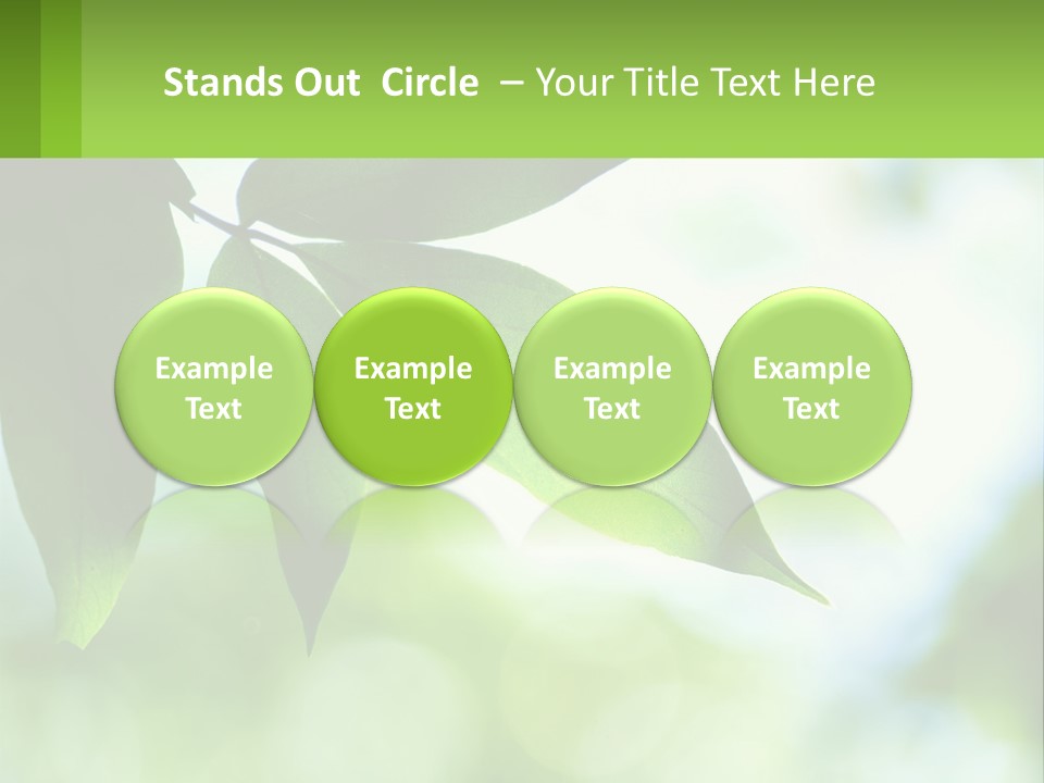 A Green Leaf On A Tree With The Sky In The Background PowerPoint Template