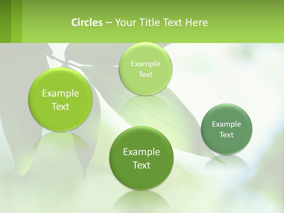 A Green Leaf On A Tree With The Sky In The Background PowerPoint Template