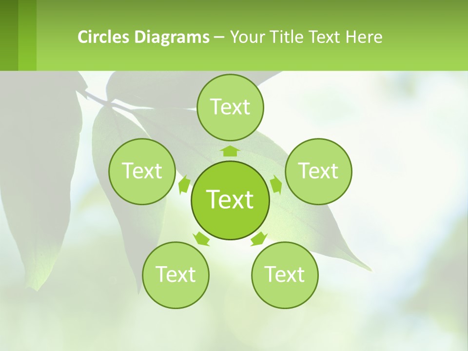 A Green Leaf On A Tree With The Sky In The Background PowerPoint Template