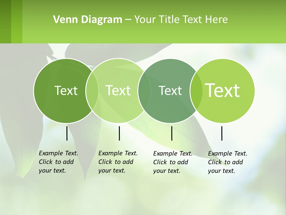 A Green Leaf On A Tree With The Sky In The Background PowerPoint Template