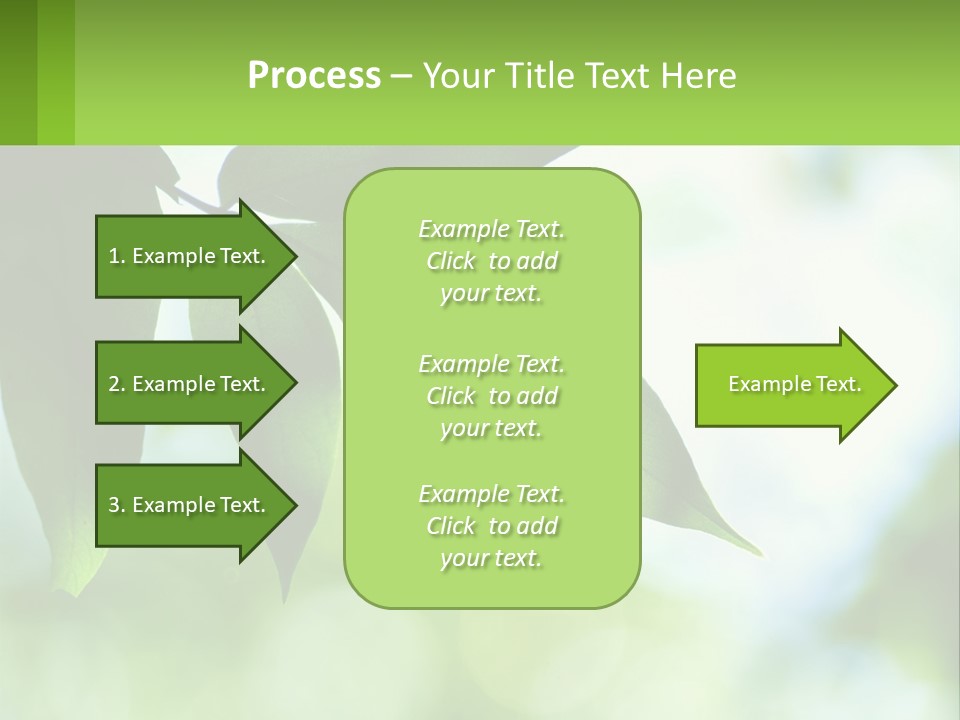 A Green Leaf On A Tree With The Sky In The Background PowerPoint Template