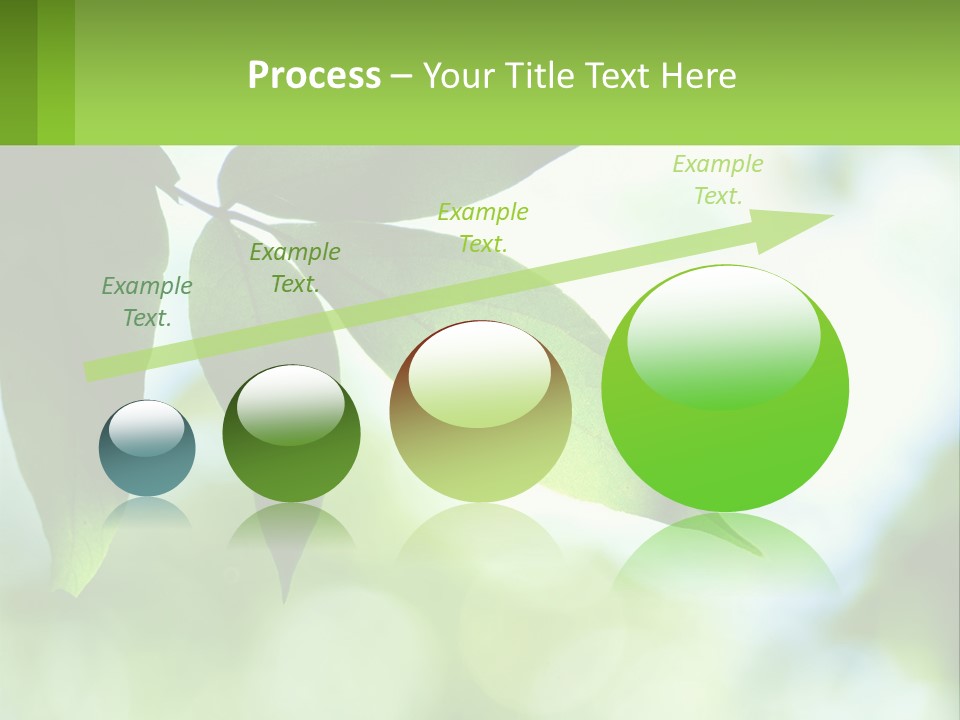 A Green Leaf On A Tree With The Sky In The Background PowerPoint Template