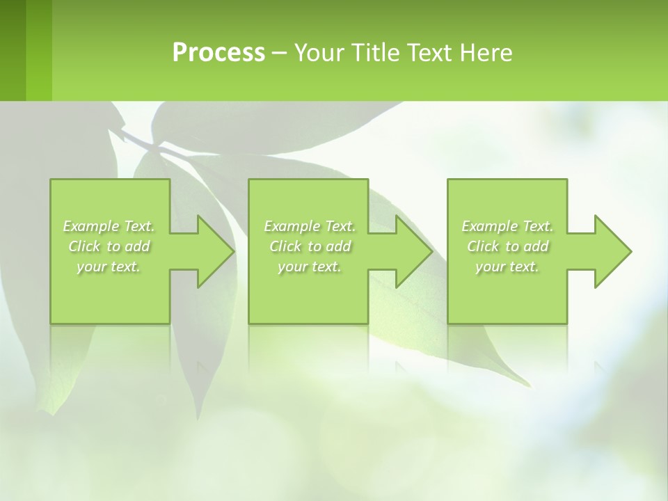 A Green Leaf On A Tree With The Sky In The Background PowerPoint Template