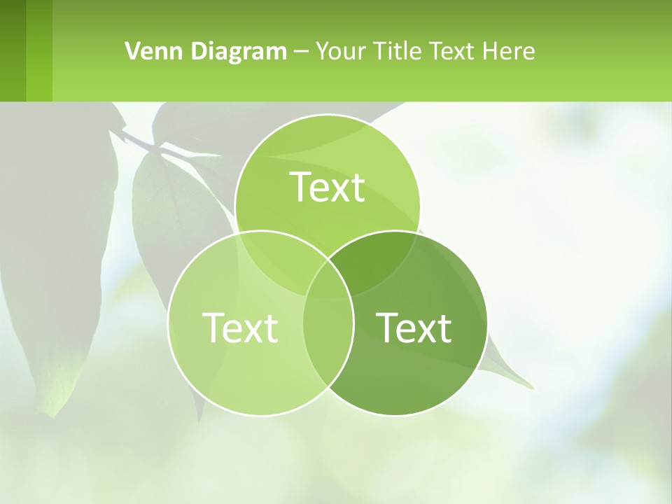 A Green Leaf On A Tree With The Sky In The Background PowerPoint Template