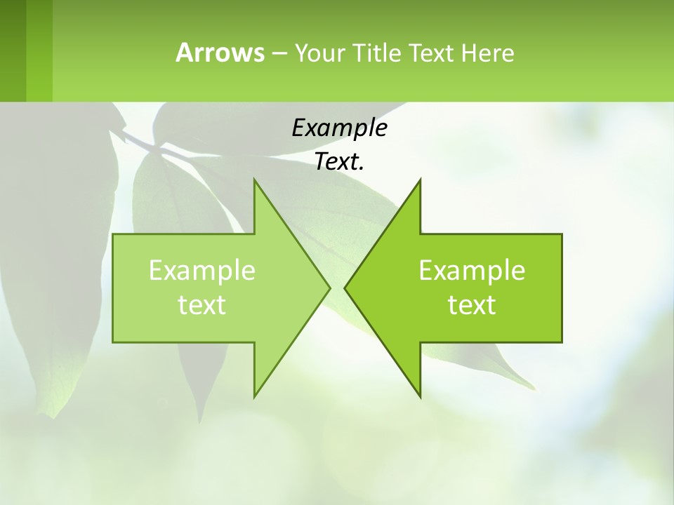 A Green Leaf On A Tree With The Sky In The Background PowerPoint Template