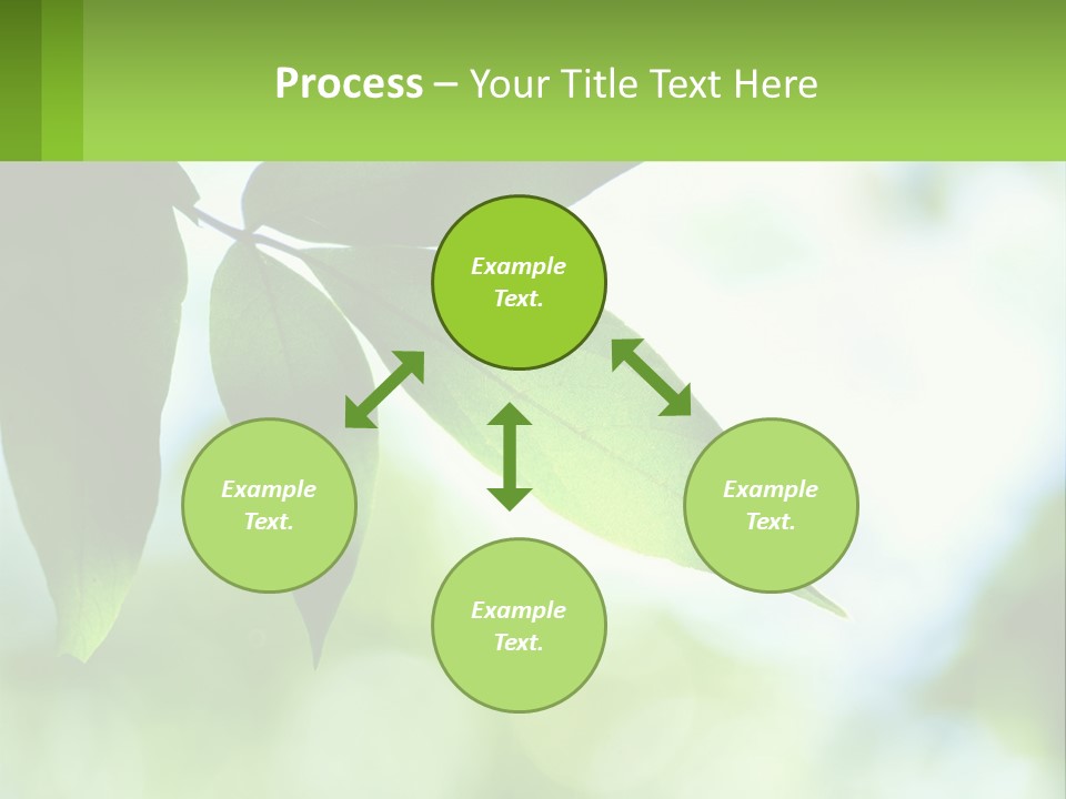 A Green Leaf On A Tree With The Sky In The Background PowerPoint Template