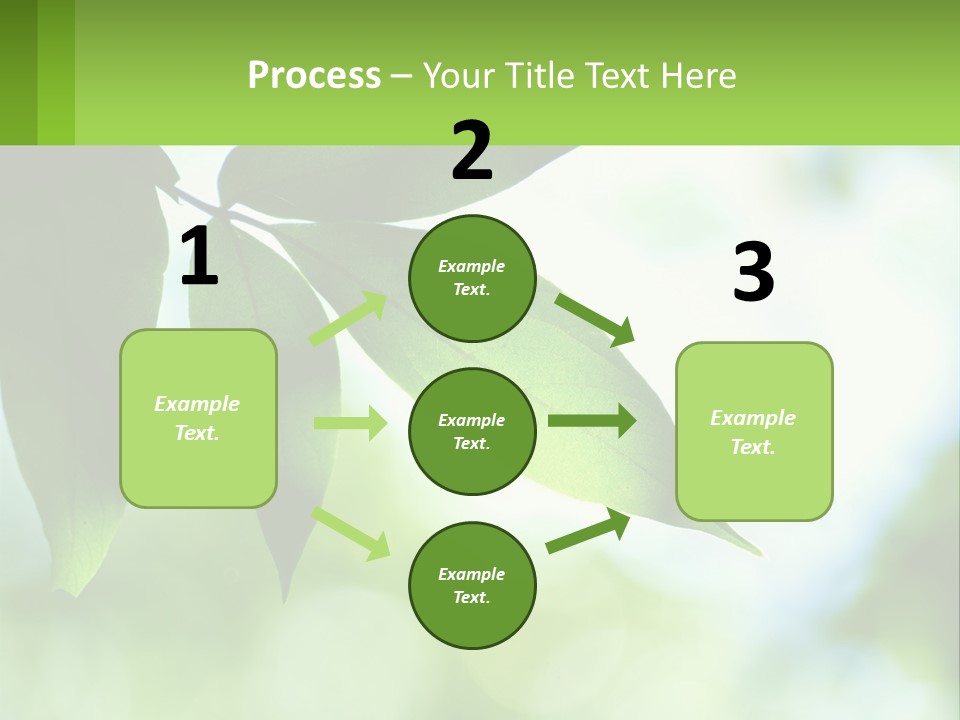 A Green Leaf On A Tree With The Sky In The Background PowerPoint Template