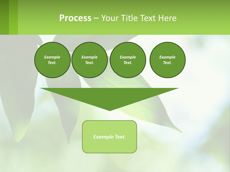 A Green Leaf On A Tree With The Sky In The Background PowerPoint Template