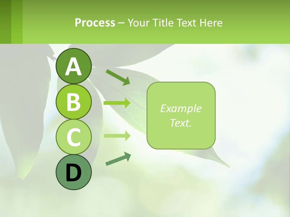 A Green Leaf On A Tree With The Sky In The Background PowerPoint Template